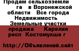 Продам сельхозземли ( 6 000 га ) в Воронежской области - Все города Недвижимость » Земельные участки продажа   . Карелия респ.,Костомукша г.